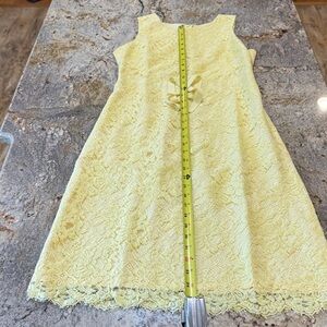 Banana Republic Pale Yellow Woman’s Lace Dress. Perfect for Easter.